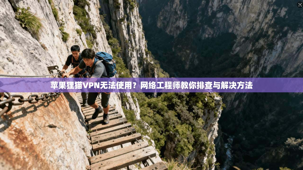 苹果狸猫VPN无法使用？网络工程师教你排查与解决方法