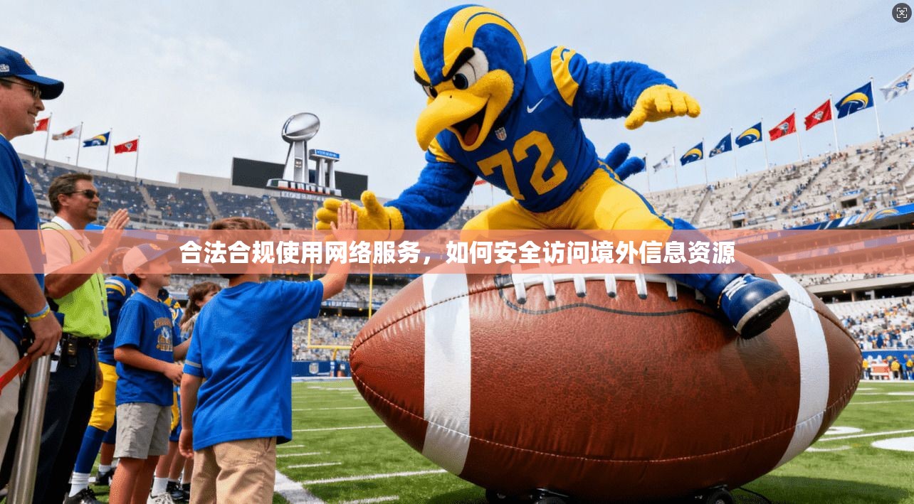 合法合规使用网络服务，如何安全访问境外信息资源