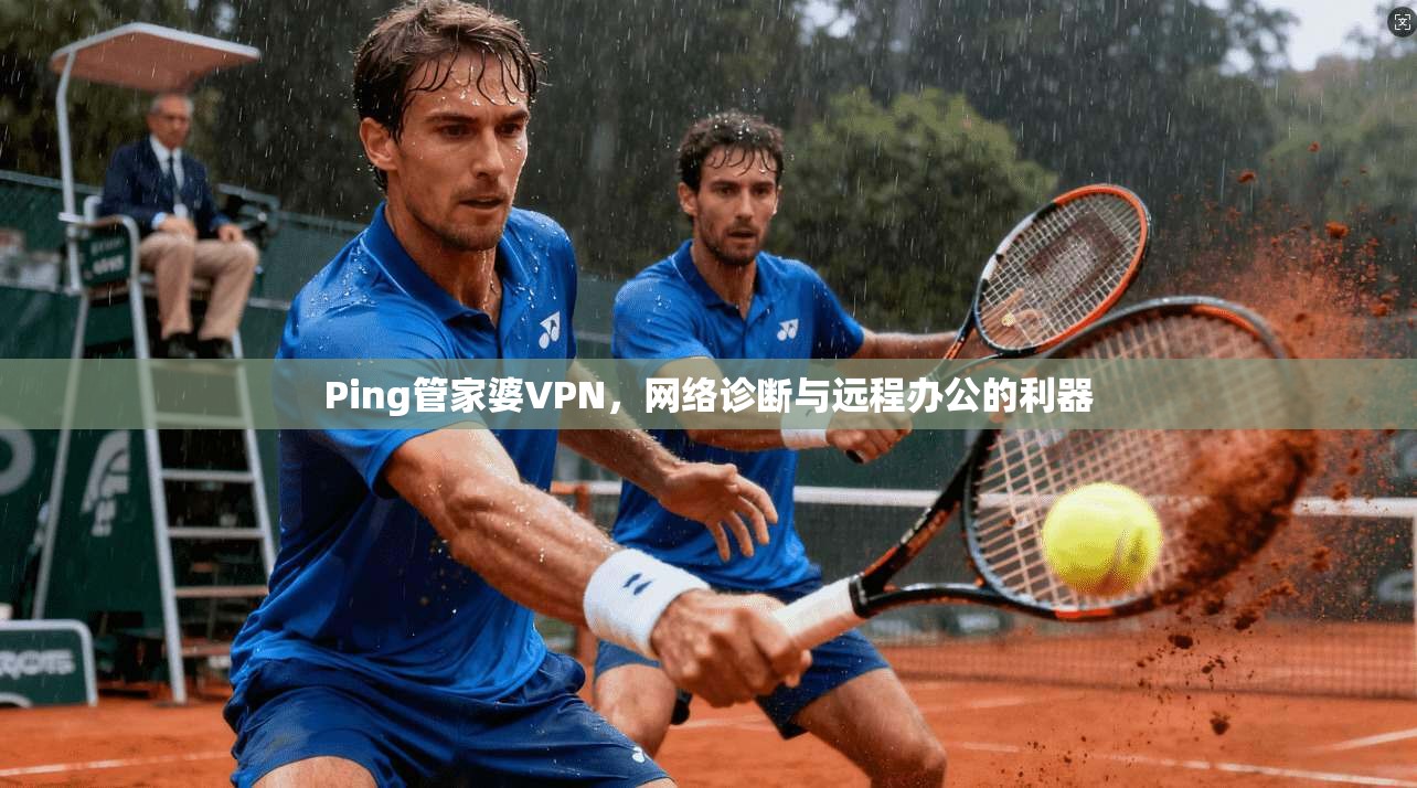 Ping管家婆VPN，网络诊断与远程办公的利器