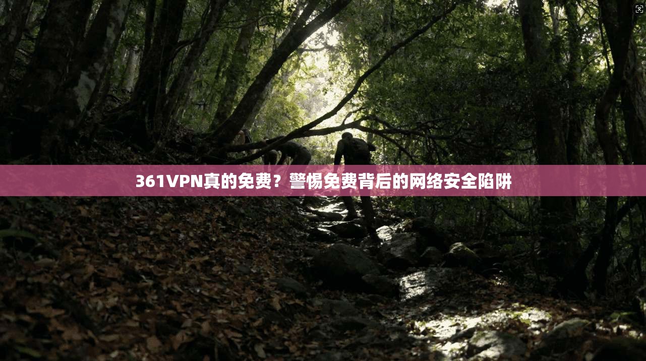 361VPN真的免费？警惕免费背后的网络安全陷阱