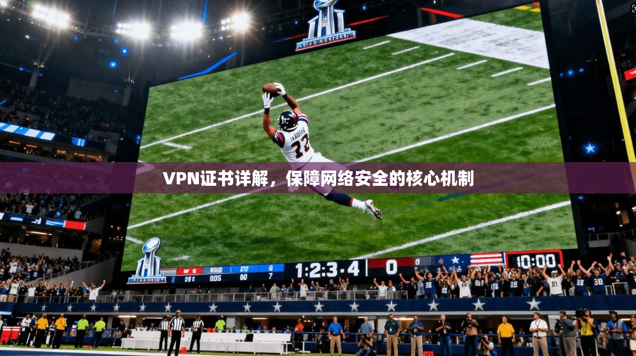 VPN证书详解，保障网络安全的核心机制