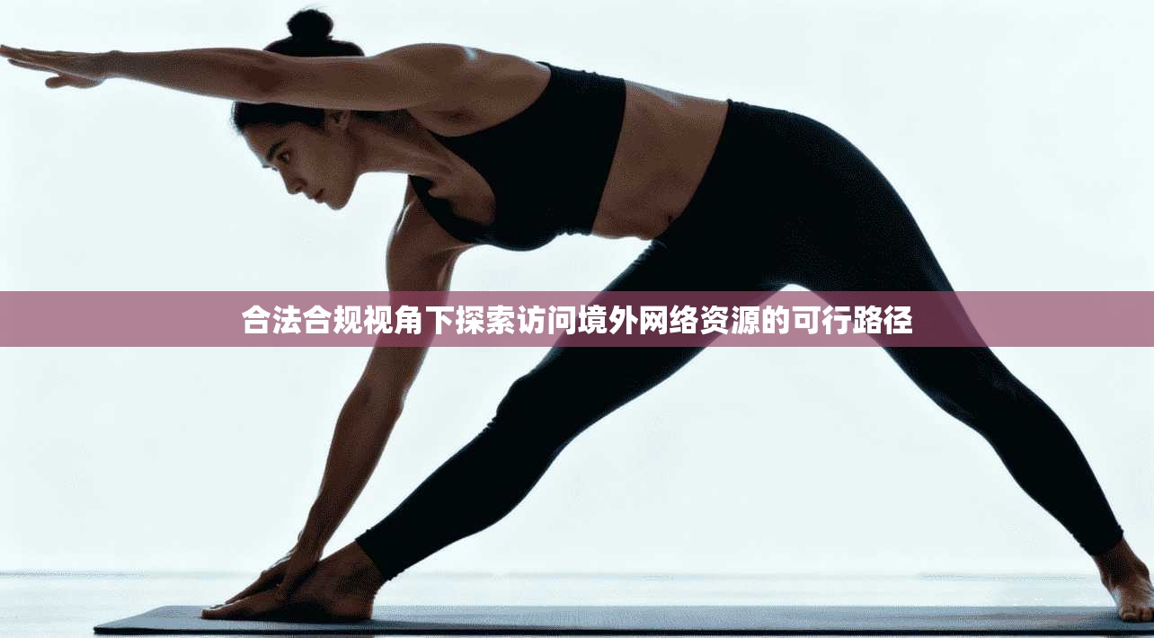 合法合规视角下探索访问境外网络资源的可行路径