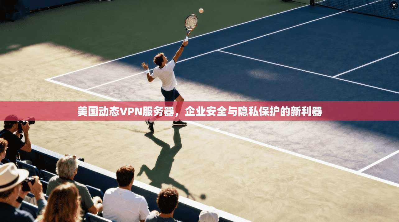 美国动态VPN服务器，企业安全与隐私保护的新利器