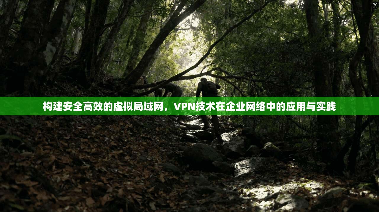 构建安全高效的虚拟局域网，VPN技术在企业网络中的应用与实践