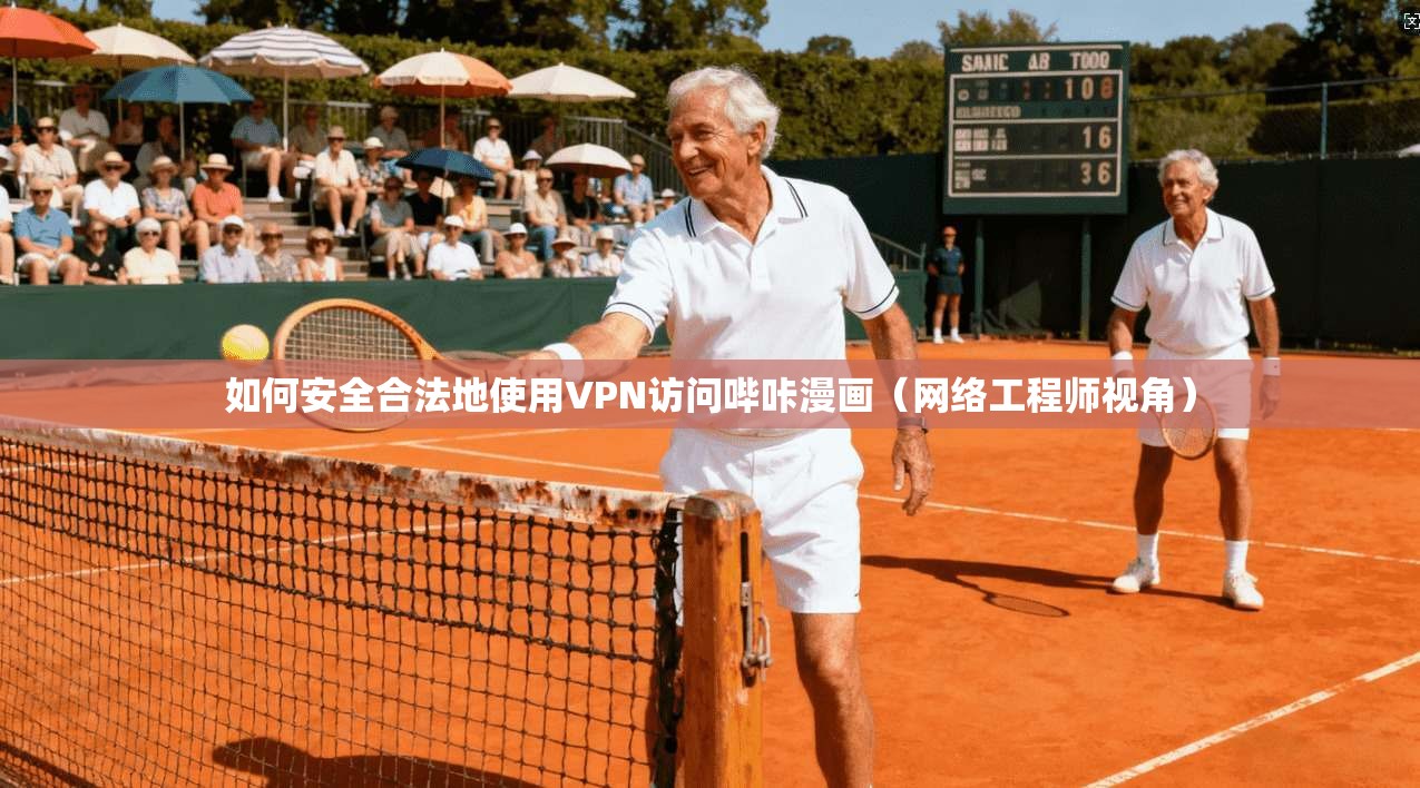如何安全合法地使用VPN访问哔咔漫画（网络工程师视角）
