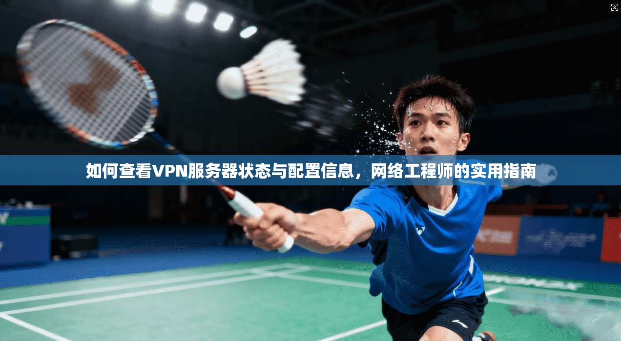 如何查看VPN服务器状态与配置信息，网络工程师的实用指南