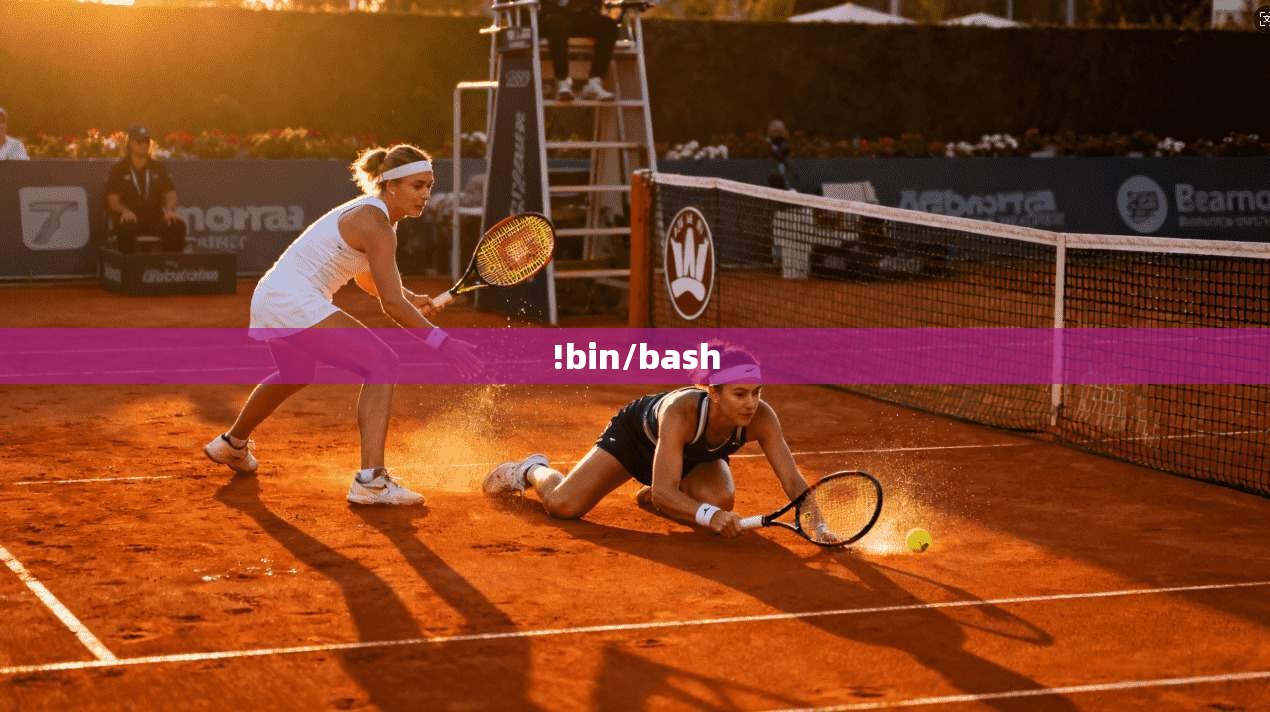 !bin/bash !bin/bash