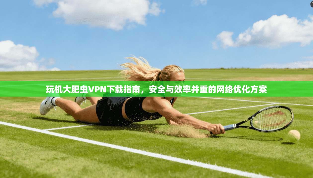玩机大肥虫VPN下载指南，安全与效率并重的网络优化方案