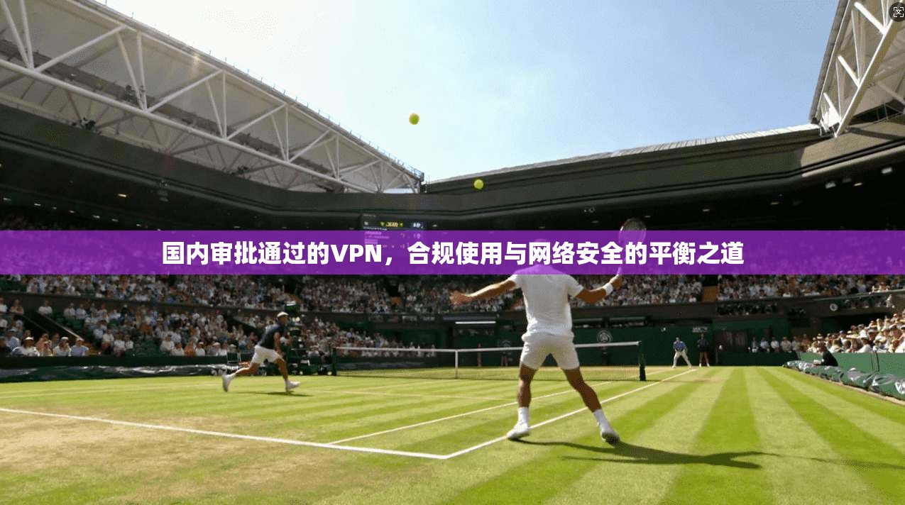 国内审批通过的VPN，合规使用与网络安全的平衡之道