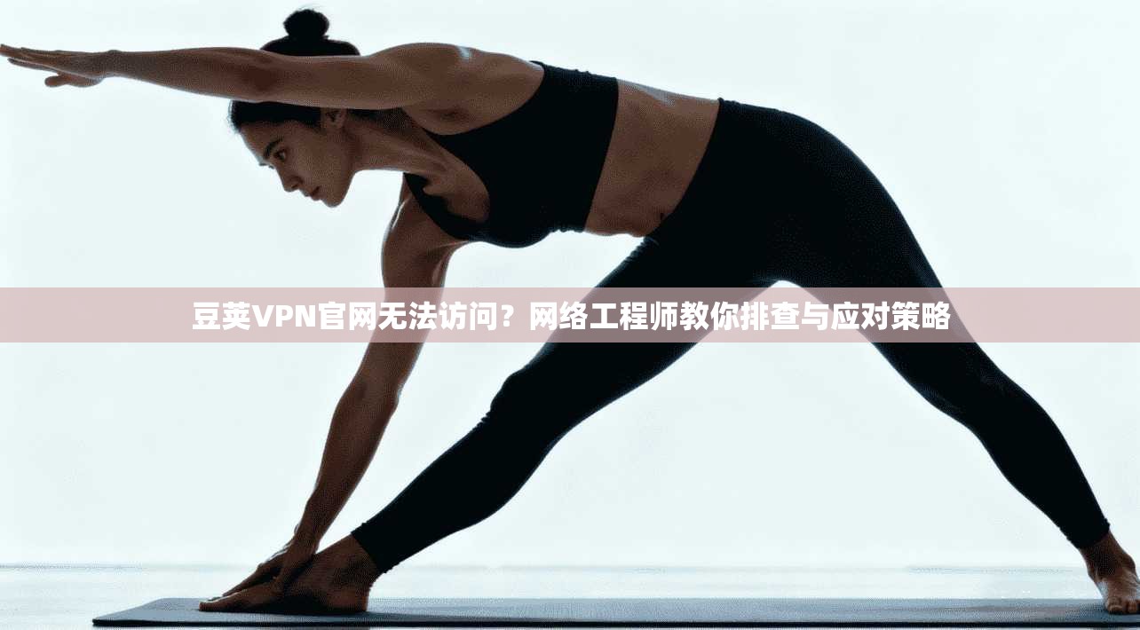 豆荚VPN官网无法访问？网络工程师教你排查与应对策略