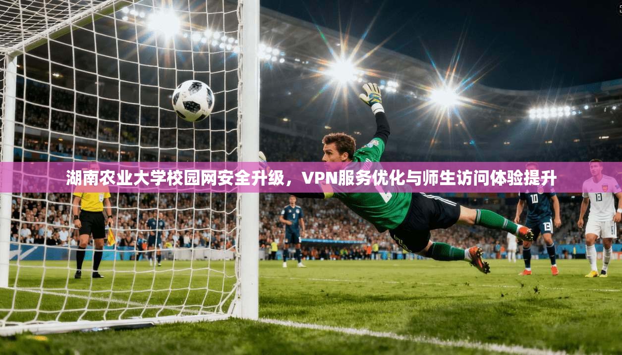 湖南农业大学校园网安全升级，VPN服务优化与师生访问体验提升