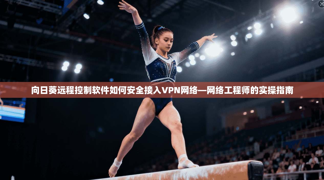 向日葵远程控制软件如何安全接入VPN网络—网络工程师的实操指南