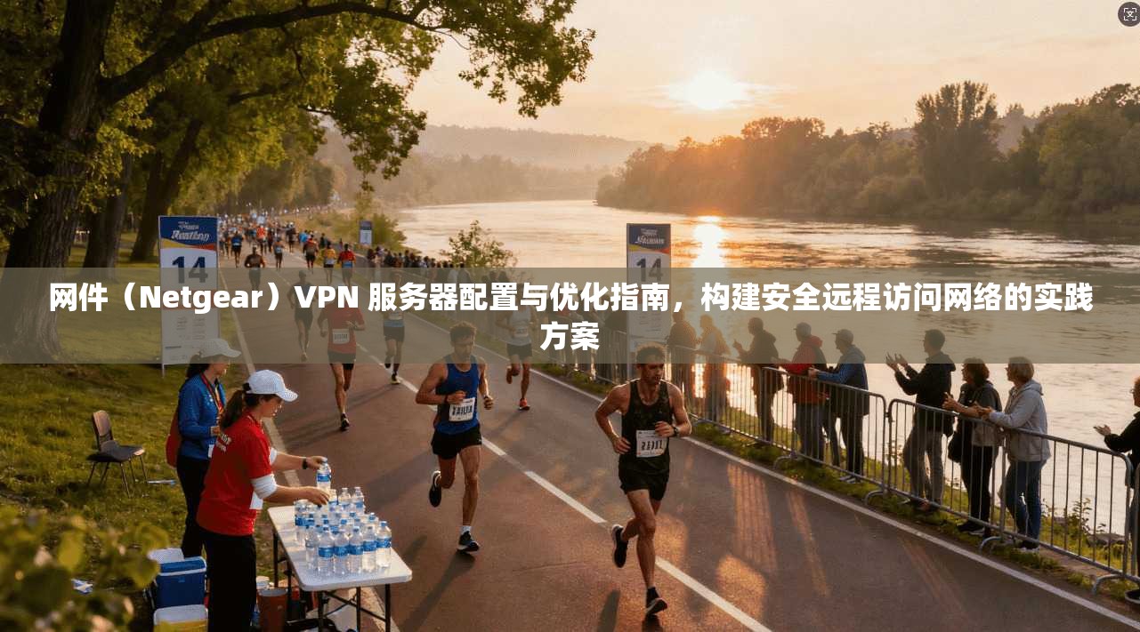 网件（Netgear）VPN 服务器配置与优化指南，构建安全远程访问网络的实践方案