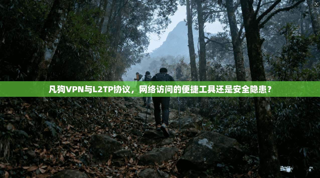 凡狗VPN与L2TP协议，网络访问的便捷工具还是安全隐患？