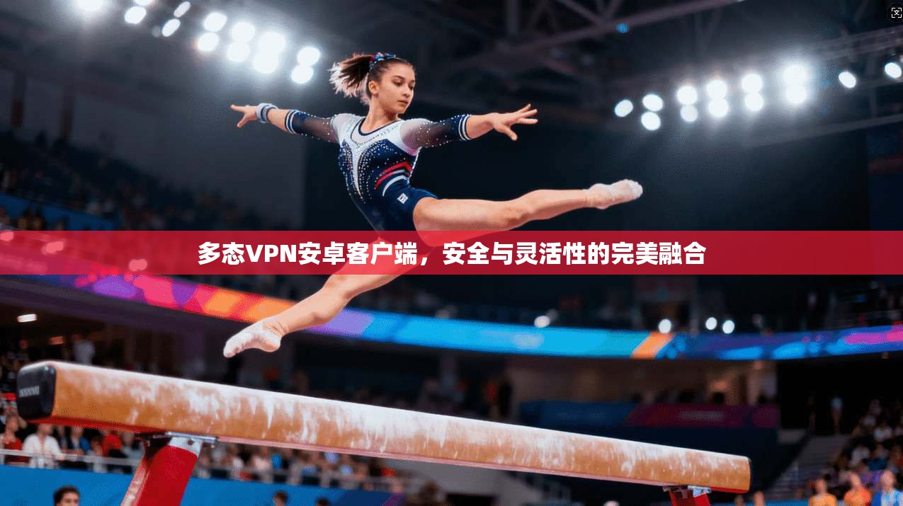 多态VPN安卓客户端，安全与灵活性的完美融合