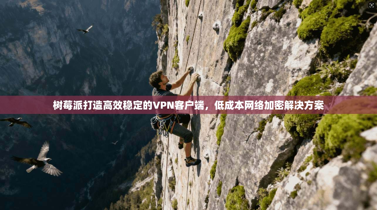树莓派打造高效稳定的VPN客户端，低成本网络加密解决方案