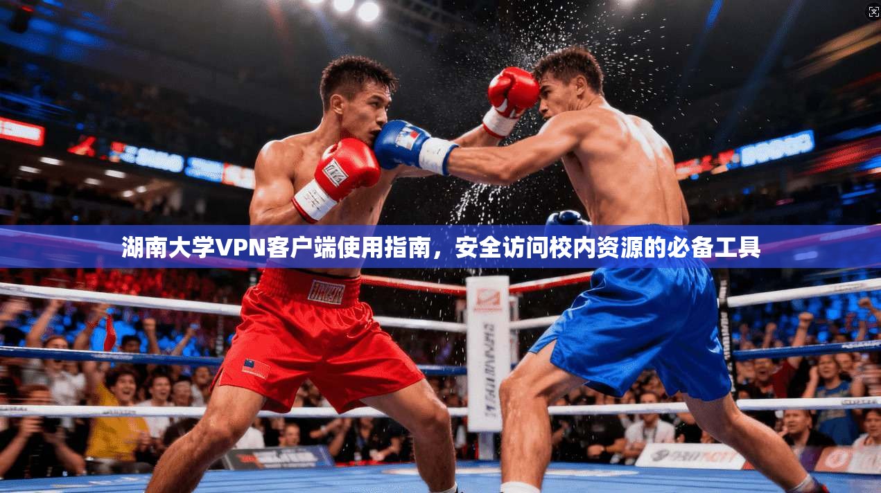 湖南大学VPN客户端使用指南，安全访问校内资源的必备工具
