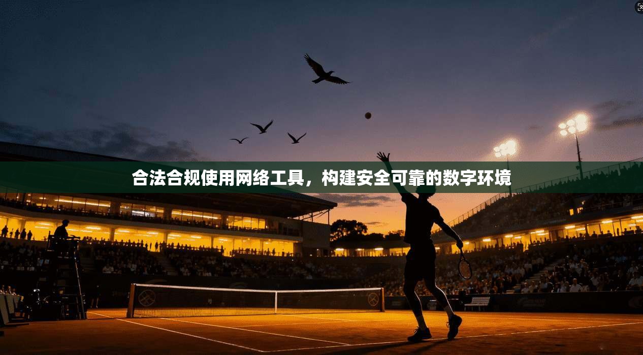 合法合规使用网络工具，构建安全可靠的数字环境
