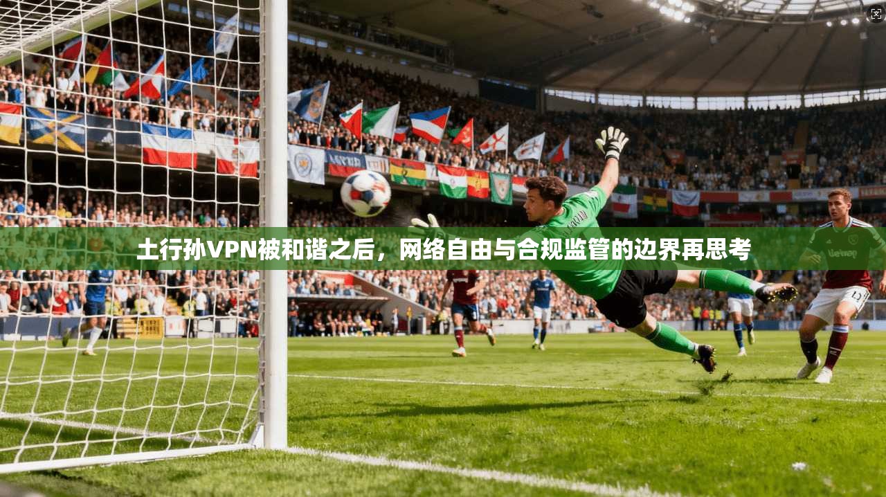 土行孙VPN被和谐之后，网络自由与合规监管的边界再思考