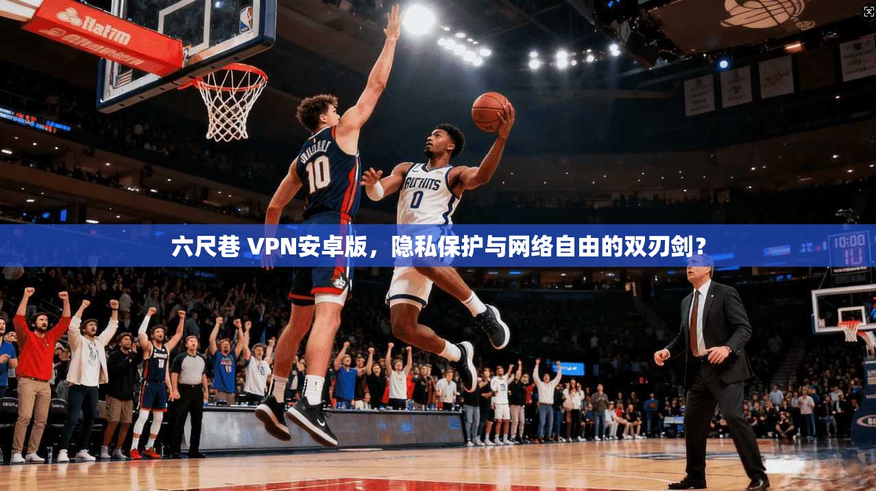 六尺巷 VPN安卓版，隐私保护与网络自由的双刃剑？