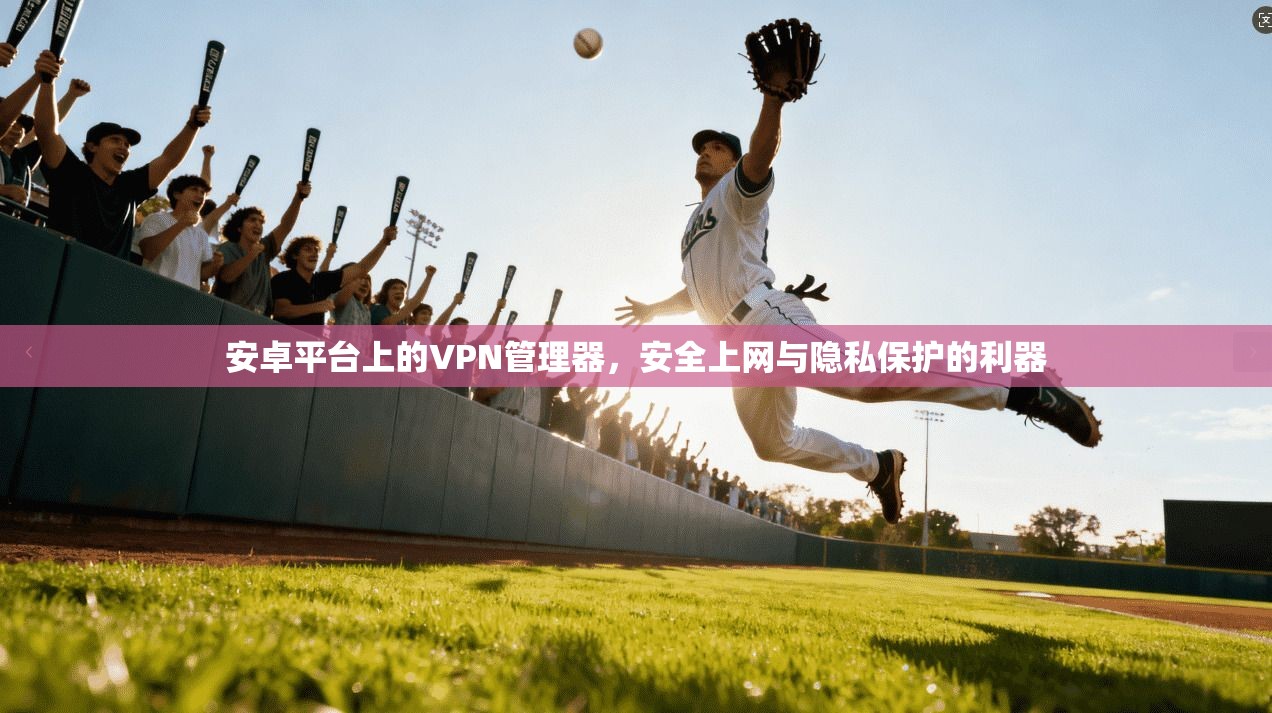 安卓平台上的VPN管理器，安全上网与隐私保护的利器
