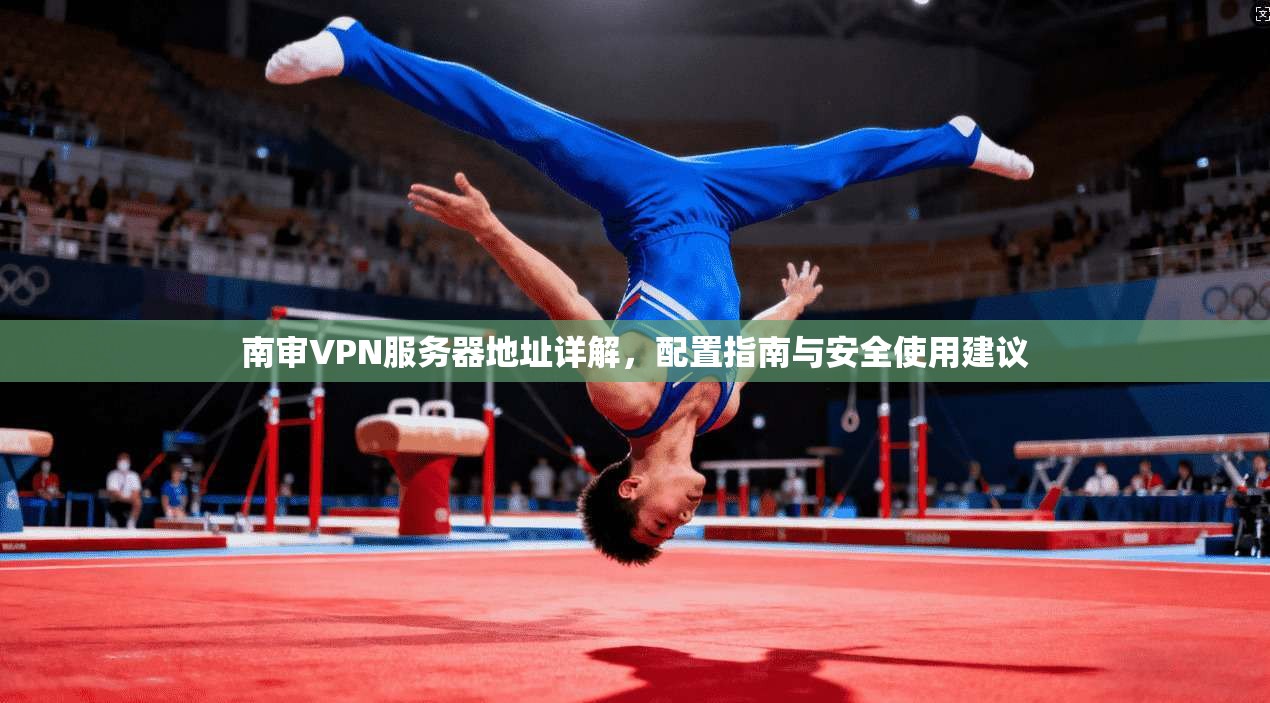 南审VPN服务器地址详解，配置指南与安全使用建议