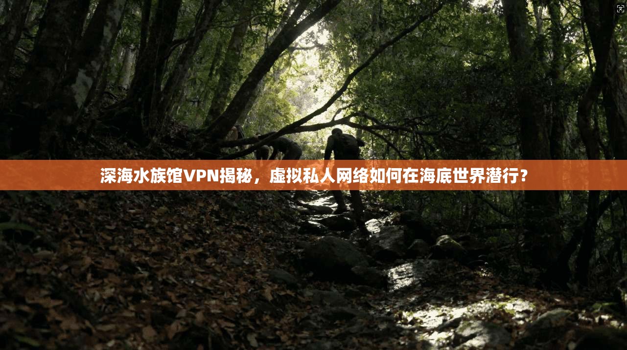深海水族馆VPN揭秘，虚拟私人网络如何在海底世界潜行？