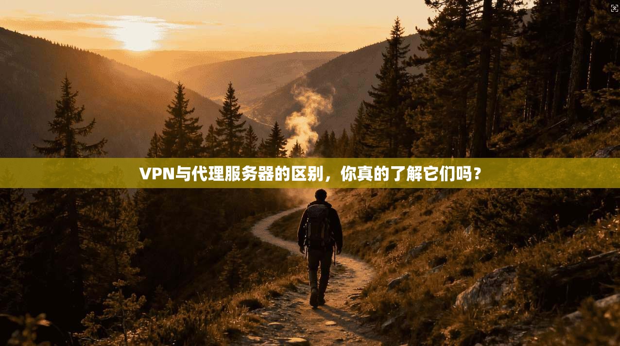 VPN与代理服务器的区别，你真的了解它们吗？