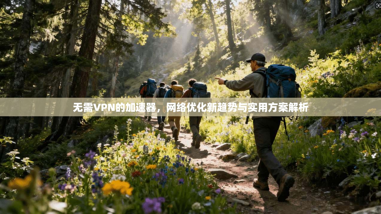 无需VPN的加速器，网络优化新趋势与实用方案解析