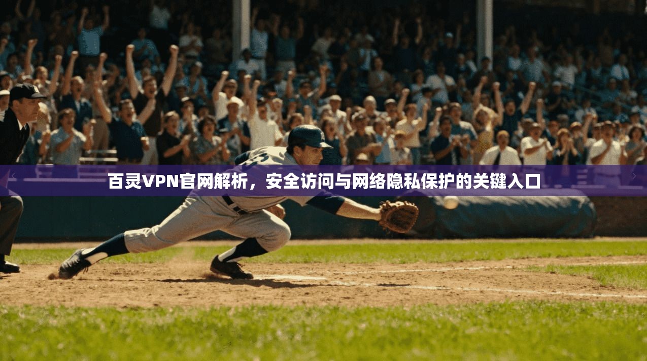 百灵VPN官网解析，安全访问与网络隐私保护的关键入口