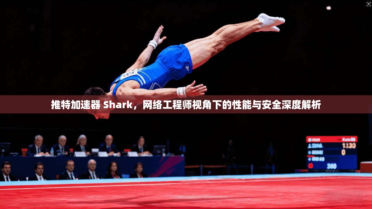推特加速器 Shark，网络工程师视角下的性能与安全深度解析