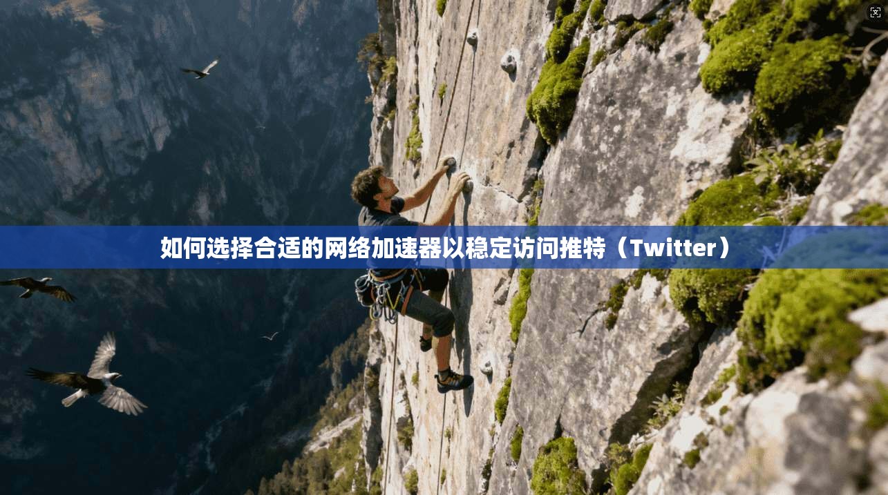 如何选择合适的网络加速器以稳定访问推特（Twitter）