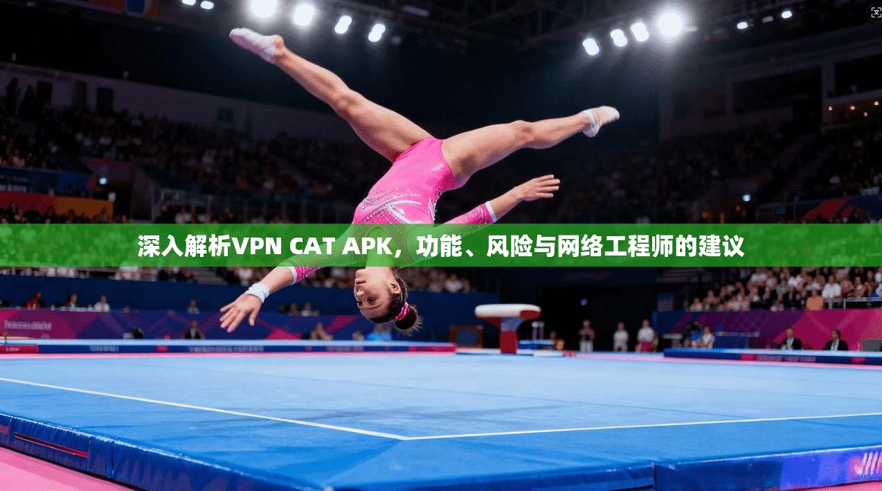 深入解析VPN CAT APK,功能、风险与网络工程师的建议 深入解析VPN CAT APK,功能、风险与网络工程师的建议