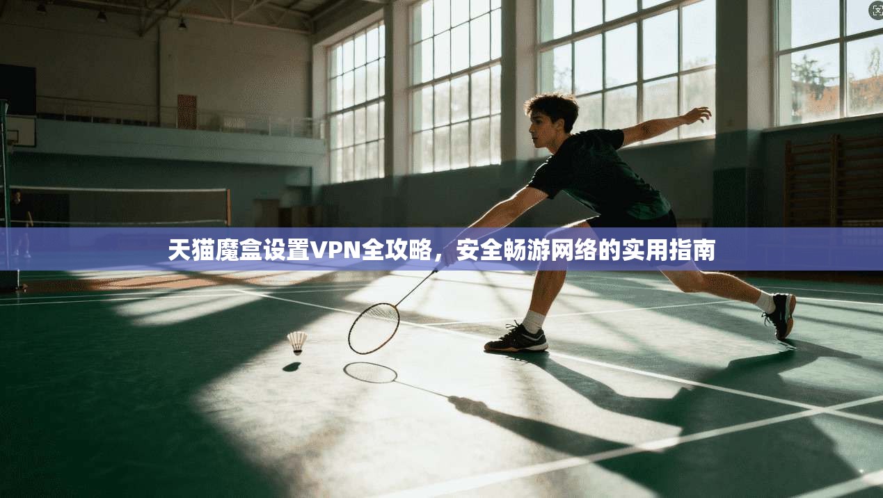 天猫魔盒设置VPN全攻略，安全畅游网络的实用指南