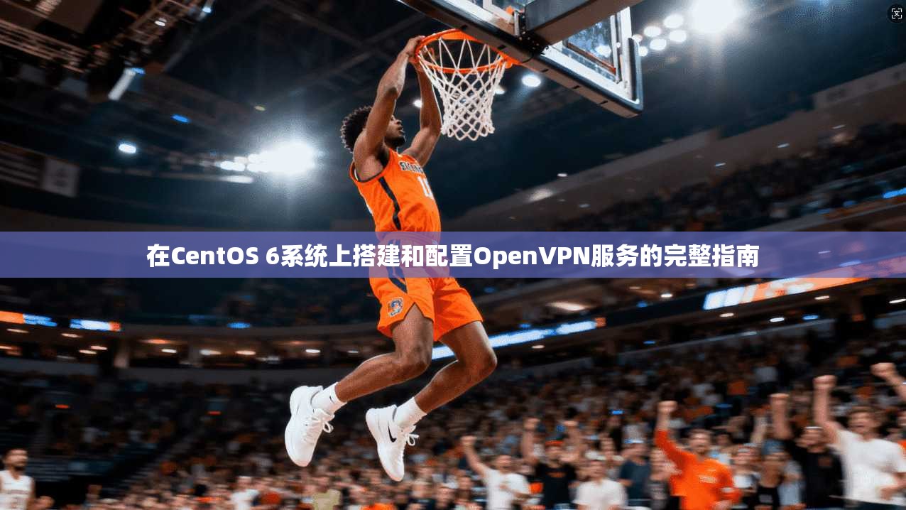 在CentOS 6系统上搭建和配置OpenVPN服务的完整指南