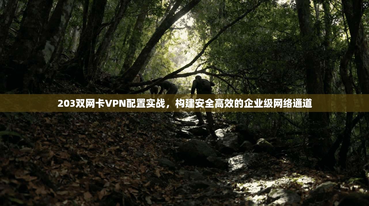 203双网卡VPN配置实战，构建安全高效的企业级网络通道
